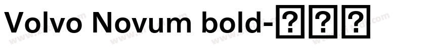 Volvo Novum bold字体转换 Volvo Novum bold字体转换